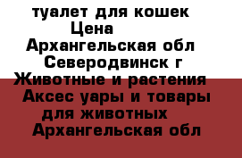 туалет для кошек › Цена ­ 200 - Архангельская обл., Северодвинск г. Животные и растения » Аксесcуары и товары для животных   . Архангельская обл.